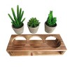 Rustic Style Artificial Succulent Plants Decorative Faux Fake Cactus Cacti Succulents with Pot Removable Wood Display Stand Indoor Office Home Décor - 2 of 4