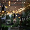 Adaner LED Outdoor String Lights - 120" - 10 Light - PLT4050 - Black - Safavieh - 2 of 4
