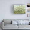 Trademark Fine Art -Van Gogh 'The White Orchard' Canvas Art - 2 of 4