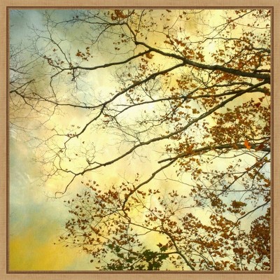 Storm Clouds II 22"x22" Maple Framed Canvas Wall Art