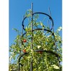 Gardener's Supply Company Titan Tall Tomato Cages I Sturdy Steel Core Plant Support Trellis Cage for Climbing Plants, Vegetable Garden & Tomato - 4 of 4