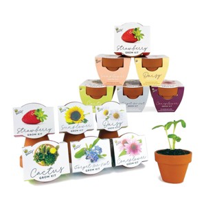 Buzzy Seeds 12pk Sunflower Daisy Coneflower Cactus Forget-Me-Not Strawberry Classic Mini Grow Pots Flower Kits - 1 of 4