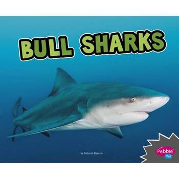 Bull Sharks - (All about Sharks) by  Deborah Nuzzolo (Paperback)