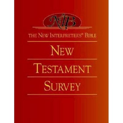 The New Interpreter's(r) Bible New Testament Survey - (New Interpreter's Bible) (Hardcover)