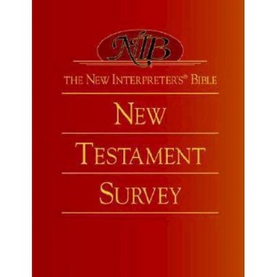 The New Interpreter's(r) Bible New Testament Survey - (New Interpreter's Bible) (Hardcover)