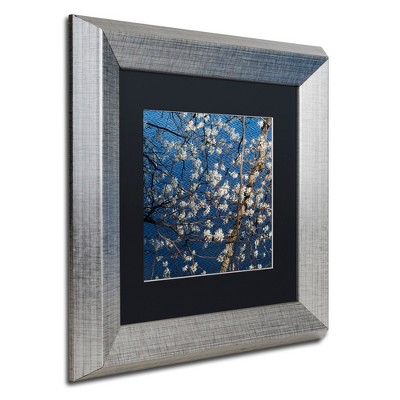 Trademark Fine Art -Kurt Shaffer 'Springtime at the Lake' Matted Framed Art