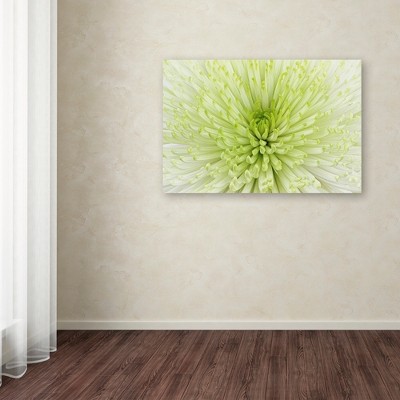Large White and Green Floral Canvas Art
