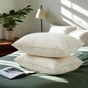 Puredown 2 Pack 100% Organic Cotton Gusseted Down Feather Bed Pillows, Pillow-in-a-pillow Design - 2 of 4