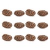 Pine Cone Decor (Set of 12) - 4 of 4