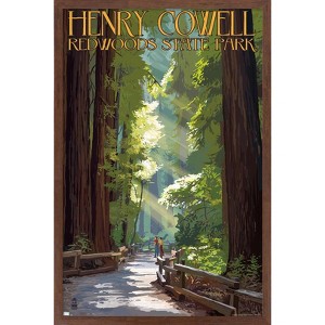 Trends International Lantern Press - Redwoods Pathway in Trees Framed Wall Poster Prints - 1 of 4