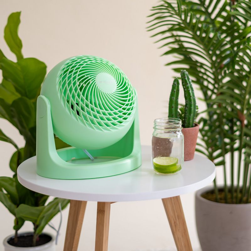 IRIS USA WOOZOO Circulator Fan, Table Air Circulator, Desk Fan, Fan for Bedroom, 3 Speeds, 360° Adjustable, 6 of 8