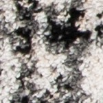 silver/black
