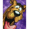 Scooby Doo Blanket Loveable Pup Close Up Silk Touch Lightweight Throw 46" X 60" Multicolored - 2 of 4