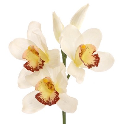 Floral Home 10" Cream Cymbidium Pick - 12-Piece