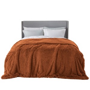 Bedsure | PV Fleece Blanket  a Chic Addition with Brushed Longfur - 1 of 4