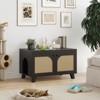 GlasFlength Decorative Storage Cabinet, Modern Shelved Cabinet for Living and Dining Rooms, Ideal for Pet Friendly Spaces, Black, 31.5"*19.7"*19.7" - 2 of 4