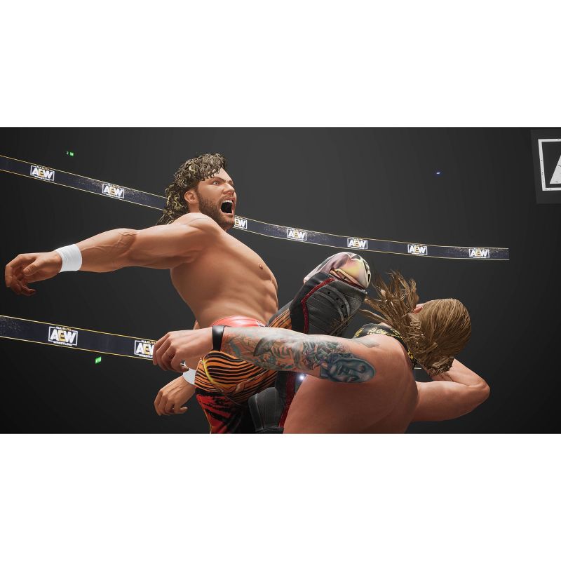 AEW: FightForever - Nintendo Switch: Multiplayer Arcade-Style Wrestling, Matt Hardy Bonus, 5 of 11