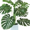 36" x 18" Artificial Monstera Plant in Ceramic Planter White - LCG Florals - 4 of 4