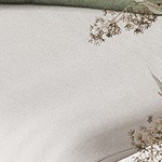 transparent glass  + white legs