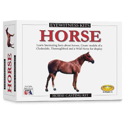 Eyewitness Horse Casting Kit