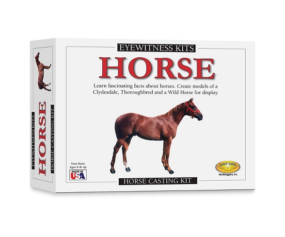 Eyewitness Horse Casting Kit