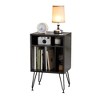 MAYEERTY Black Record Player Stand - With Metal Legs, Vinyl Cabinet for Living Room - 4 of 4