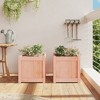 vidaXL Garden Planters 2 pcs Solid Wood Douglas - 3 of 4