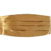 Gioberti Boy's Adjustable Satin and Paisley Cummerbund Set - 2 of 3