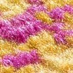 navy, burnt orange, fuchsia, gray, mustard, peach