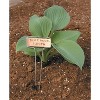 Luster Leaf  Classic Impressions 10-Inch Copper Garden Plant Label with Marker (10 Pack) - 2 of 3