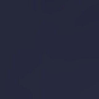 blue-vectornavy