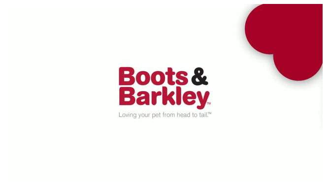 Rubber Lattice Tie Dye Cat Toy Balls - 2pk - Boots &#38; Barkley&#8482;, 2 of 7, play video