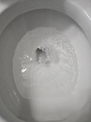 Guest review image 3 of 4, zoom in