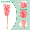 Unique Bargains Artificial Dried Flowers Realistic Look Pampas Bunny Tails Grass 17 Inch - 2 of 4