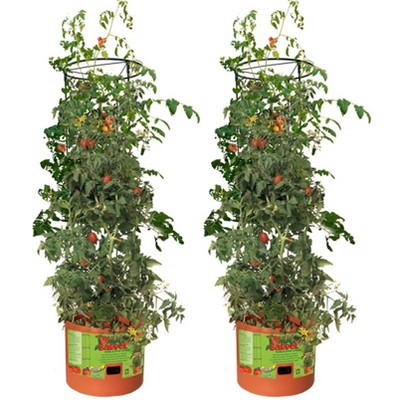 Hydrofarm GCTB Tomato Barrel Pot Garden Planting 4 Foot Trellis System (2 Pack)