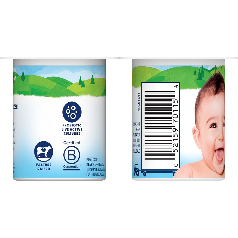 Stonyfield Organic YoBaby Apple &#38; Blueberry Whole Milk Baby Probiotic Yogurt - 6ct/4oz Cups, 6 of 13