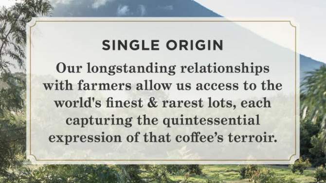Peet&#39;s Sumatra Single Origin Dark Roast Ground Coffee 10.5oz, 5 of 7, play video