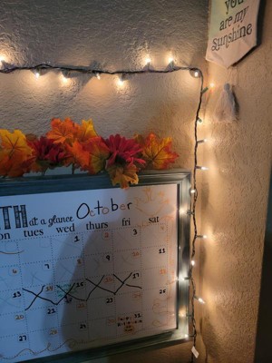 Guest review image 2 of 3, zoom in