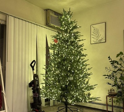 Guest review image 1 of 1, zoom in