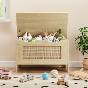 Storage Chest, 30 in /39.4 in/24.8 in/ Toy Chest with Lids, Wood Rattan Toy Box for Boys Girls with Safety Hinge - 1 of 4