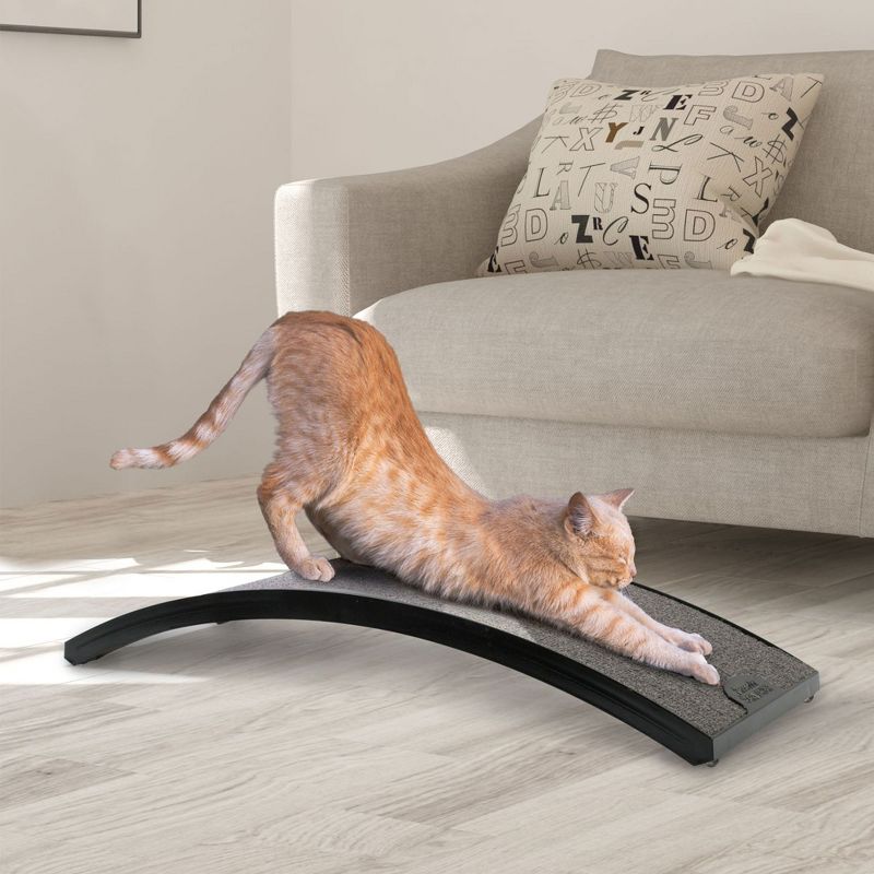 Omega Paw Rascador Curved Floor Scratching Board for Cats and Kittens, Lays Flat or Vertically, Treated with Catnip Oil, 20 Inches Long, Grey, 5 of 6