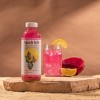 Gt's Guava Paloma Agua De Kefir - 16 Fl Oz : Target