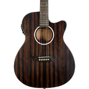 Washburn Deep Forest Ebony ACE Acoustic-Electric Guitar Natural Matte - 1 of 4