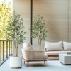 5FT Faux Olive Tree Tall,Olive Trees Artificia Indoor with White Planter - 4 of 4
