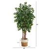 Nearly Natural 7-ft Sakaki Artificial Tree in Handmade Natural Jute and Cotton Planter - 2 of 3
