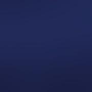 navy blue (dark blue)