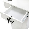 FURNIinspire Utility Storage Cabinets Chic Hairdressing Station with Durable Wooden Accessories for Hair Salons, Black, 23"*15.8"*66.9" - 4 of 4