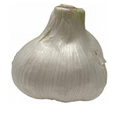 Morel Distribution Co | Elephant Garlic (Ajo Elefante) Sorted Bulbs! Great for Fall Planting! Different Sizes! (1 LB)