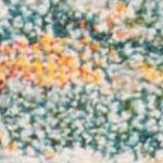 teal/orange