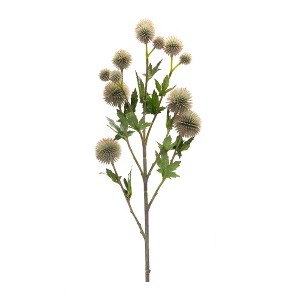 Sage Allium Floral Spray (Set of 6) - 1 of 3